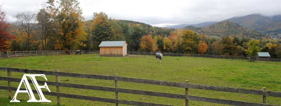 Amara Farm VT Fall